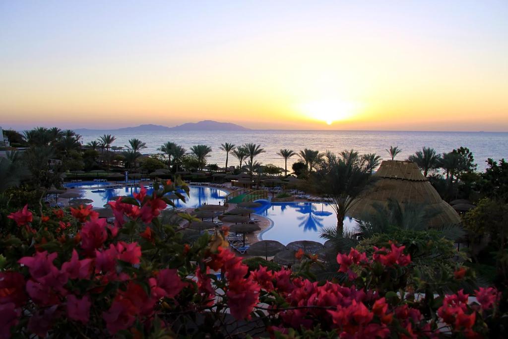 Отдых в отеле Pickalbatros Royal Grand Sharm Resort (Adults Only 16+) Шарм-эль-Шейх