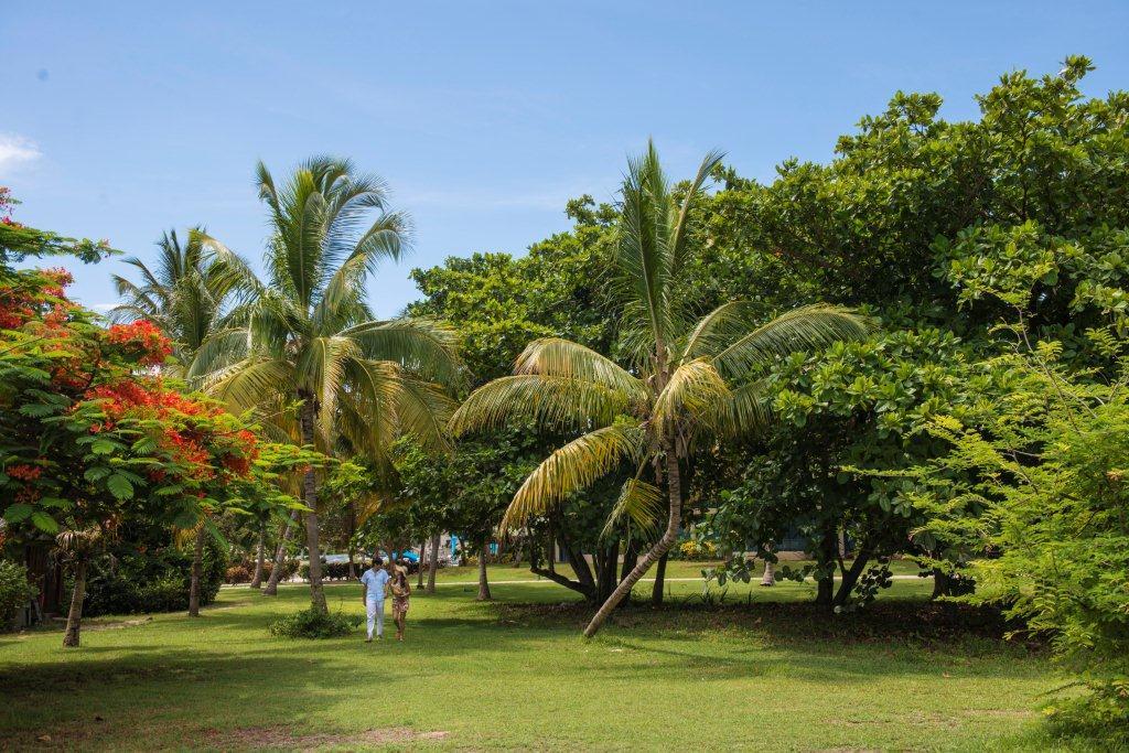 Gran Caribe Playa De Oro (ex. Mercure Playa De Oro), Куба, Варадеро, туры, фото и отзывы