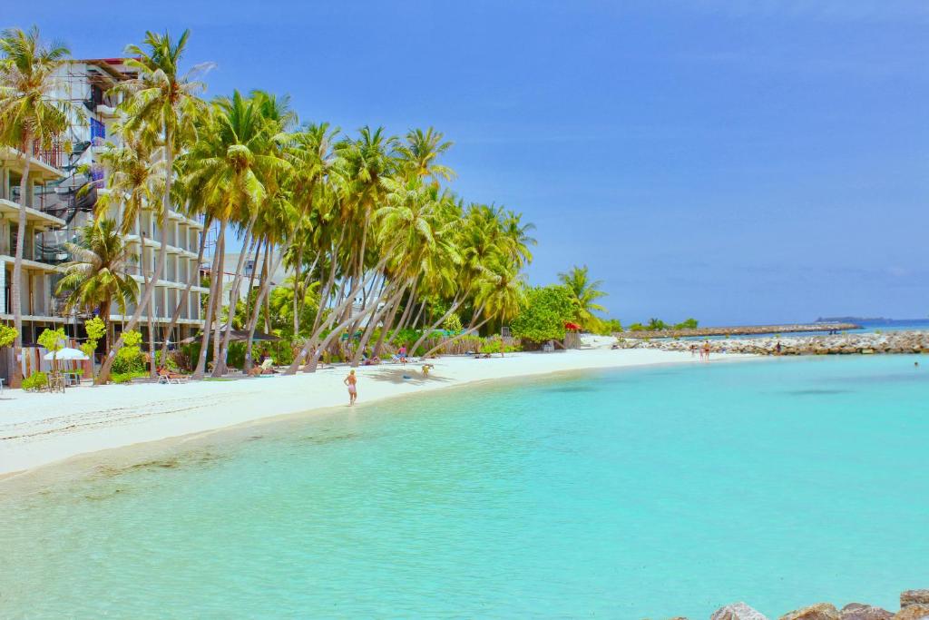 Туры в отель White Shell Island Hotel & Spa Каафу Атолл Мальдивы