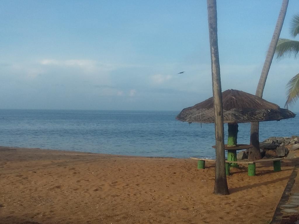 Отдых в отеле The Cosy Beach Маравила Шри-Ланка