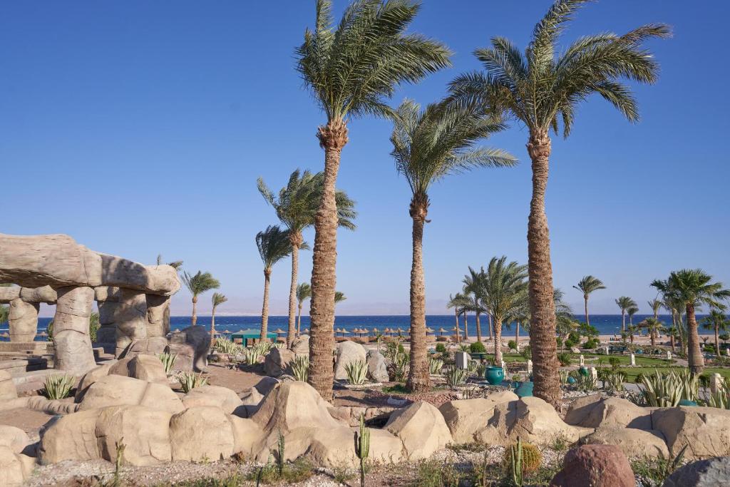Туры в отель Bay View Resort Taba Heights (Ex.Marriott Heights) Таба Египет