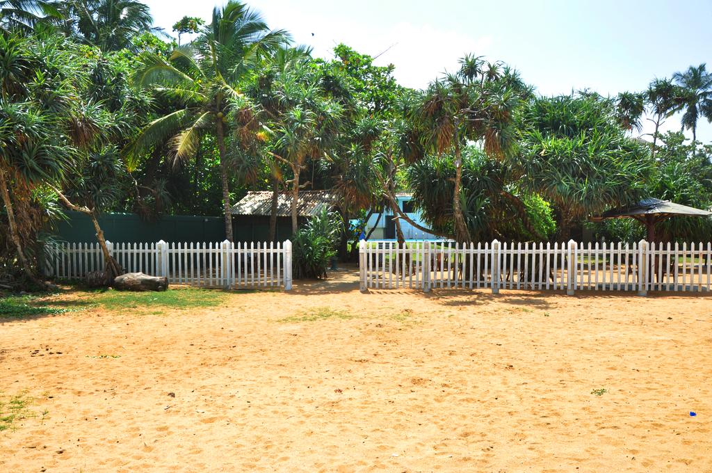 Отдых в отеле Green Shadows Beach Hotel Калутара Шри-Ланка