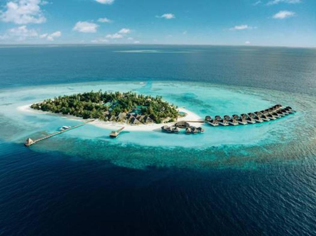 Цены в отеле Nova Maldives