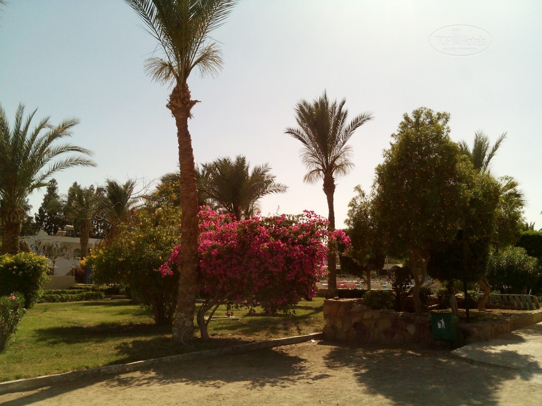 Горящие туры в отель El Samaka Beach