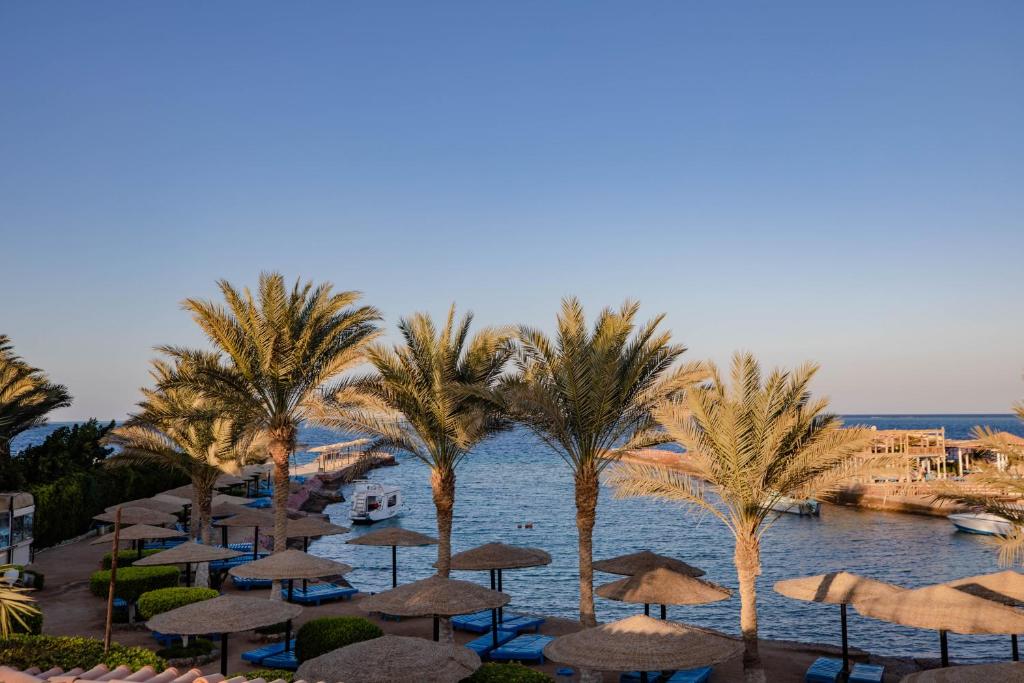 Oferty hotelowe last minute Sand Beach Hotel Hurghada