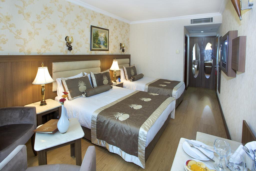 Hot tours in Hotel Grand Hilarium Istanbul