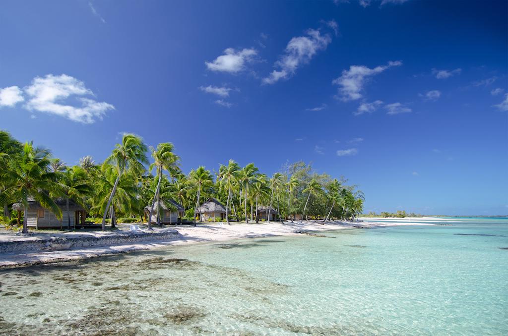 Tikehau Pearl Beach Resort, Французская Полинезия (Франция), Тикехау, туры, фото и отзывы