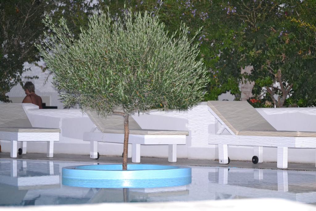 Veggera Hotel, Греція, Санторіні (острів), тури, фото та відгуки