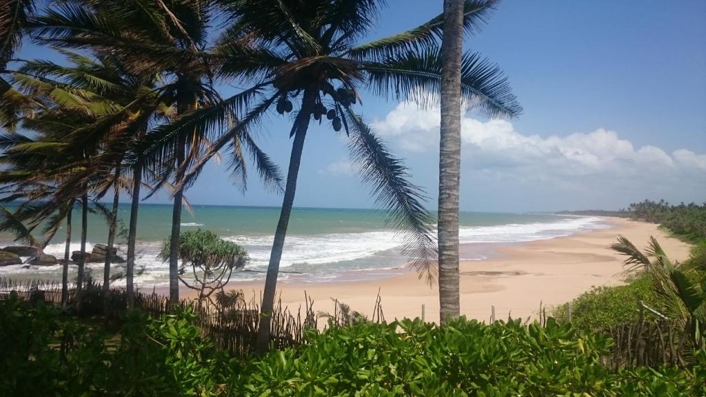 Oferty hotelowe last minute Turtle Tangala Sri Lanka