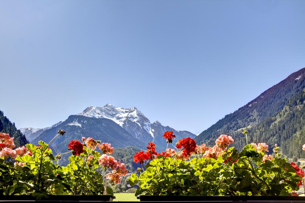 Oblasser Gaestehaus (Mayrhofen), Austria, Tyrol
