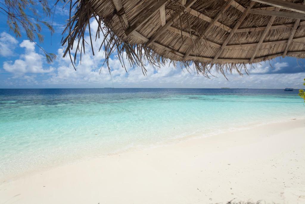 Sandies Bathala Island Resort, Ари & Расду Атоллы цены