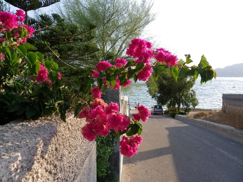 Горящие туры в отель Pefki Beach Front Villa Родос (Средиземное побережье) Греция