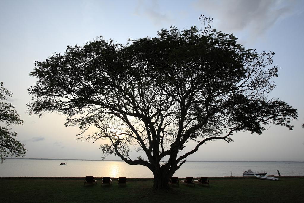 Jetwing Lagoon, Negombo, Sri Lanka, zdjęcia z wakacje