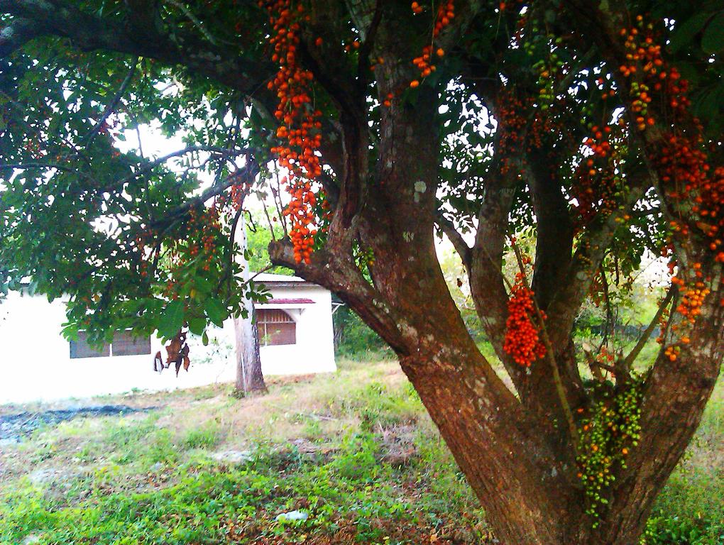 House of Changes Resort (ex. Botanic Country House Tunguu) Танзанія ціни