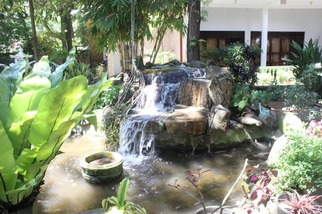 Отдых в отеле Laluna Ayurveda Resort Бентота Шри-Ланка