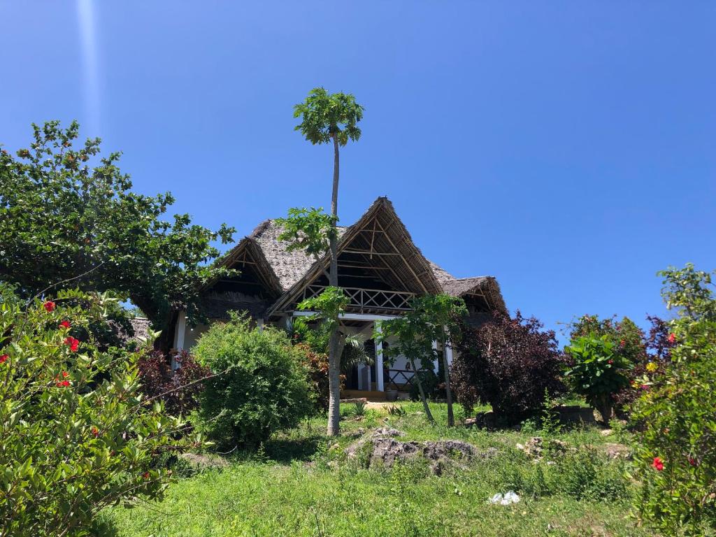 Танзанія Sazani Beach Lodge