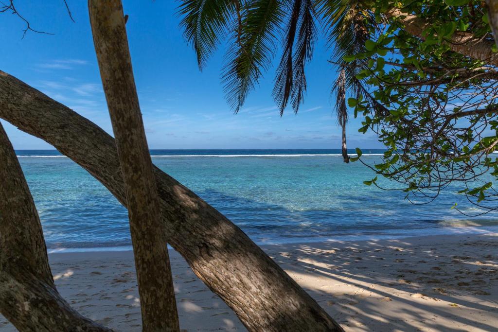 Chalets D’Anse Forbans, Маэ (остров), Сейшелы, фотографии туров