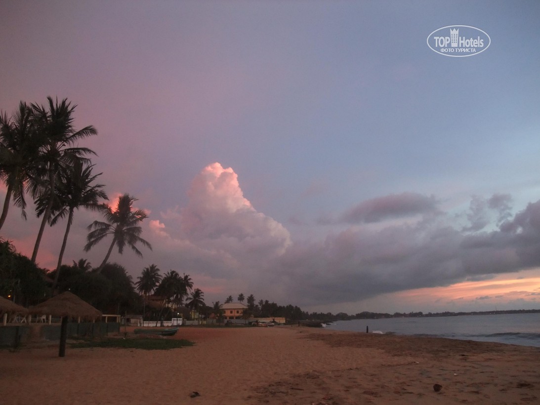 Sunset Beach Resort, Шри-Ланка, Негомбо, туры, фото и отзывы