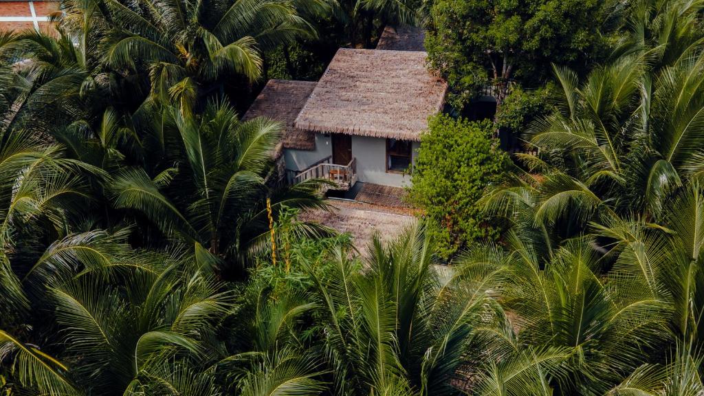M Village Tropical, Phu Quoc (wyspa), zdjęcia z wakacje
