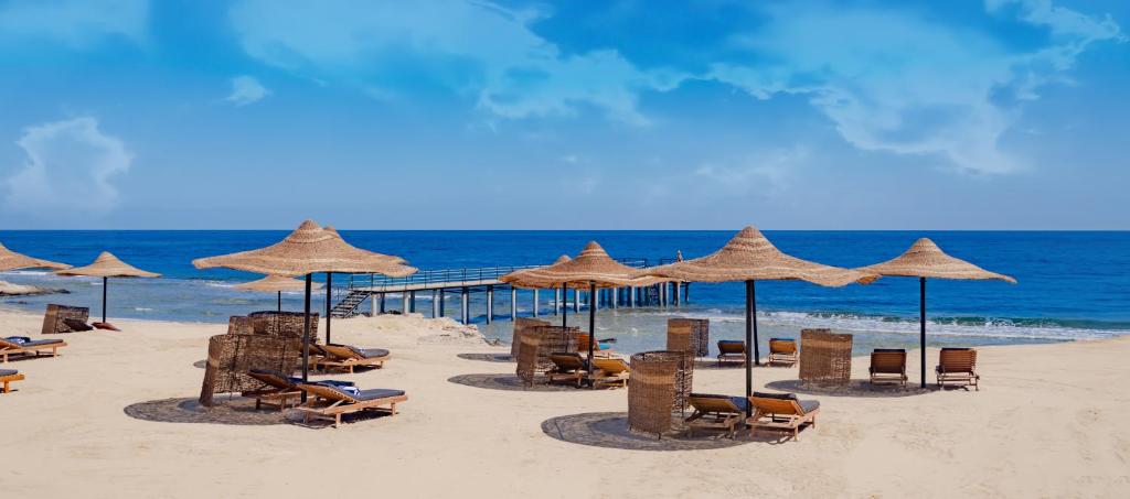 Отель, Марса Алам, Египет, Coral Hills Resort Marsa Alam