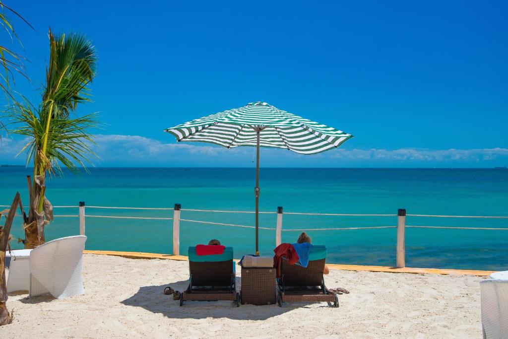 Отзывы про отдых в отеле, Golden Tulip Resort Zanzibar