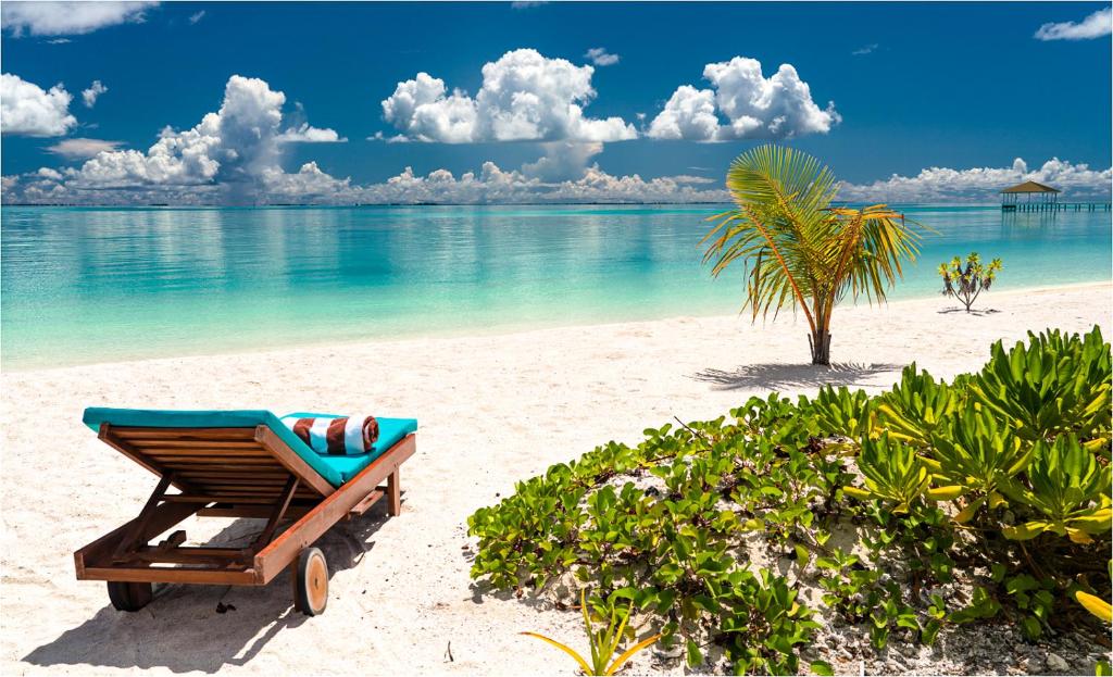South Palm Resort Maldives, Адду Атолл цены