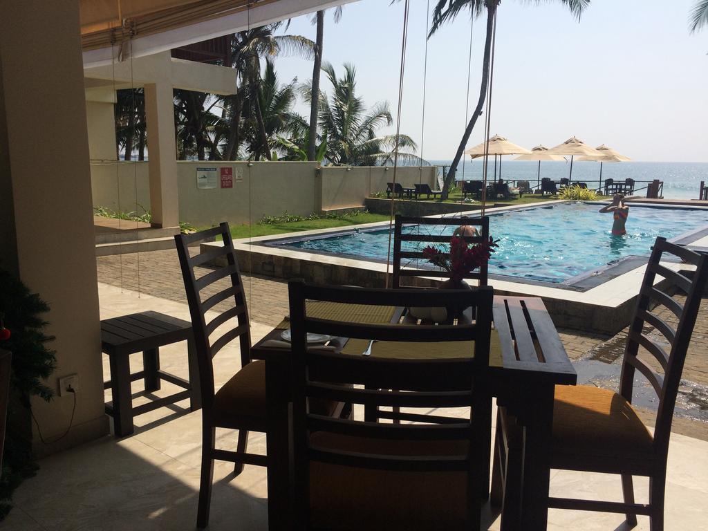 Sapphire Seas Beachfront Hotel, Шри-Ланка, Хиккадува, туры, фото и отзывы