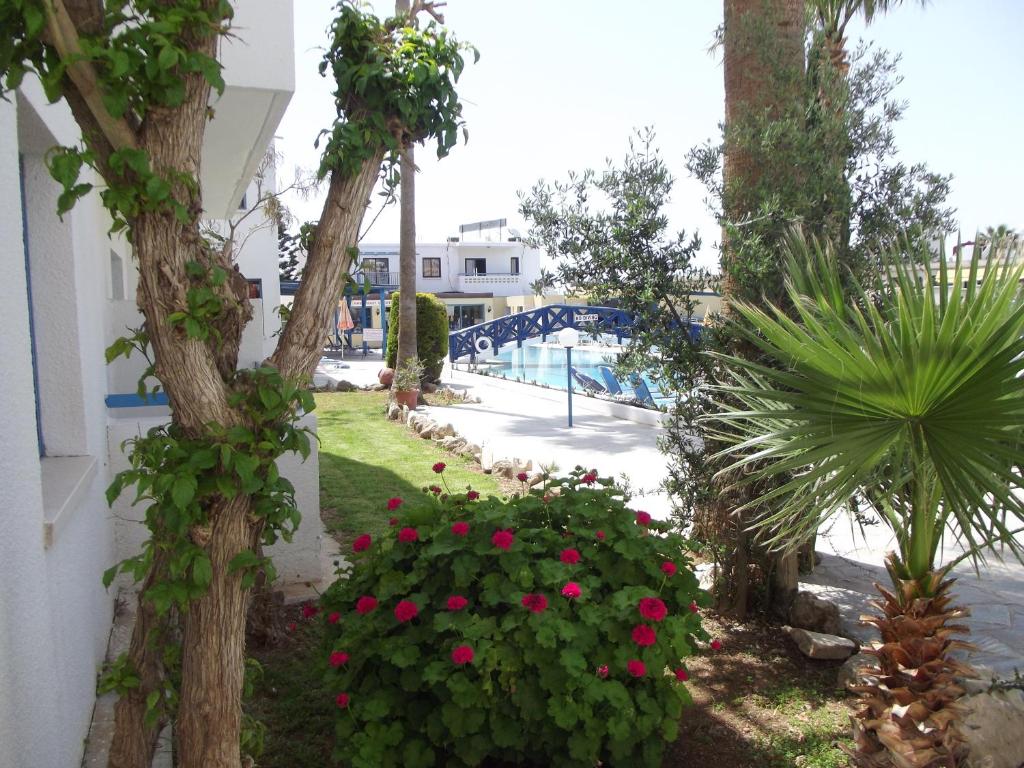 Kefalonitis Hotel Apartments, Кіпр, Пафос, тури, фото та відгуки