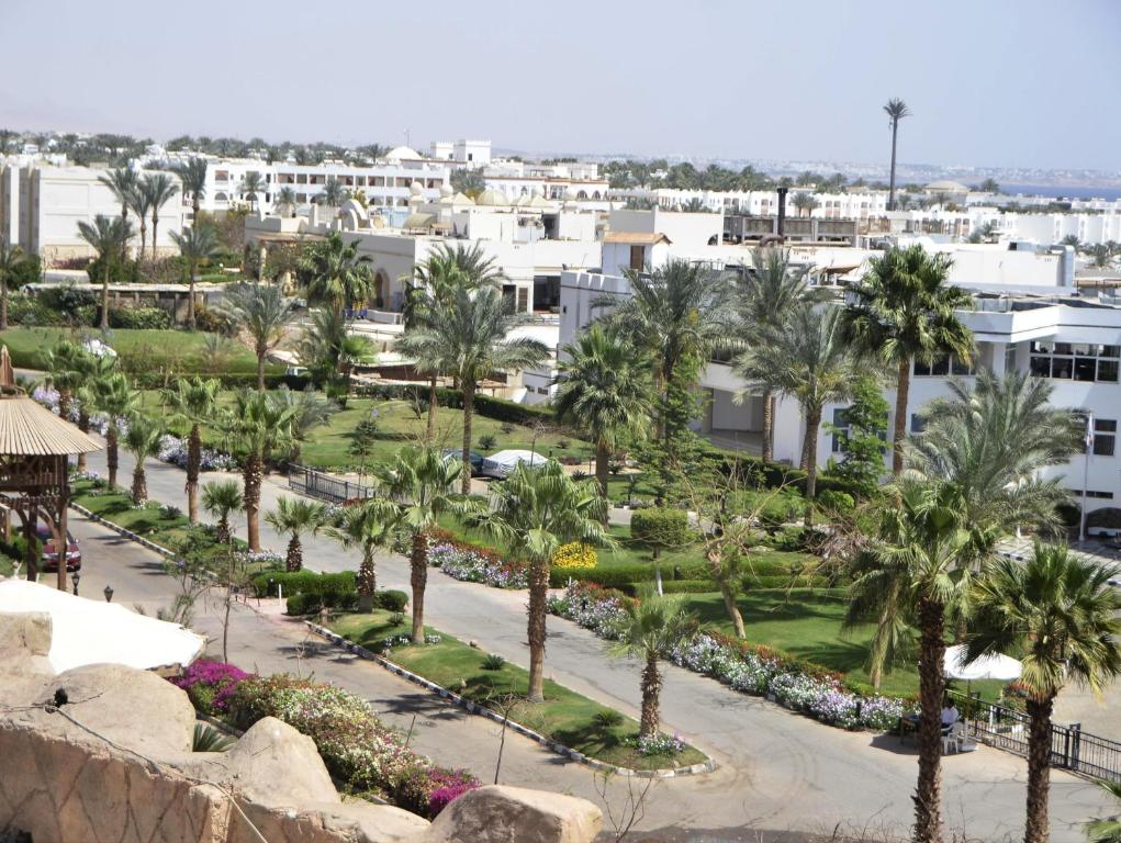 Queen Sharm Resort (ex. Vera Club Queen Sharm Beach), Szarm el-Szejk, Egipt, zdjęcia z wakacje