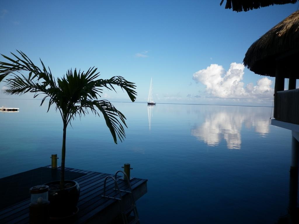 Royal Huahine, Французская Полинезия (Франция), Хуахине, туры, фото и отзывы