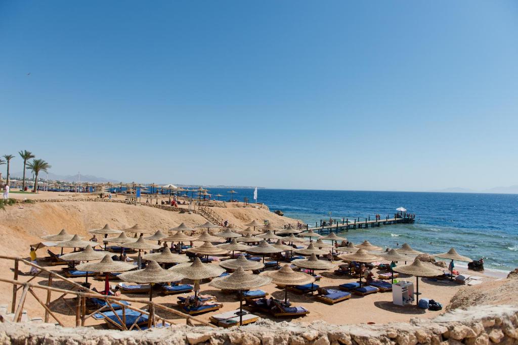 Hot tours in Hotel Amphoras Beach (ex. Otium Amphoras) Sharm el-Sheikh