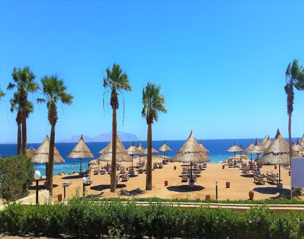 Oferty hotelowe last minute Sheraton Sharm Hotel Szarm el-Szejk