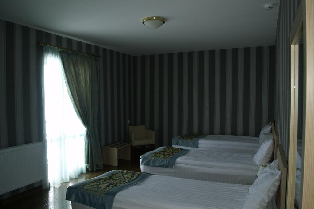 Відпочинок в готелі Edelweiss Гудаурі