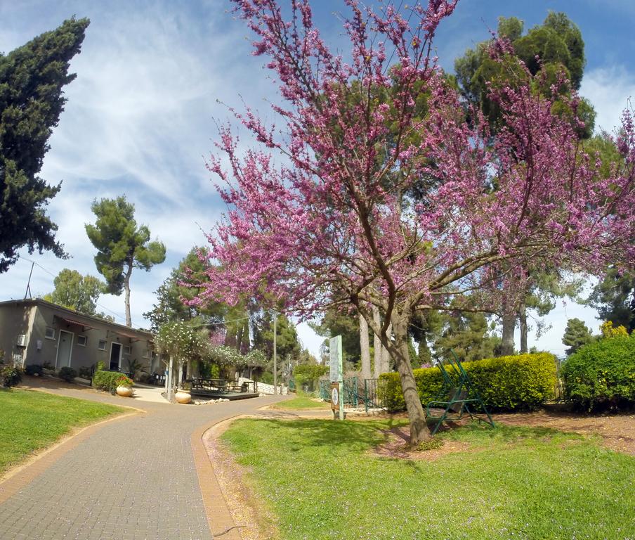 Відпочинок в готелі Kibbutz Malkiya Travel Hotel Тверія Ізраїль