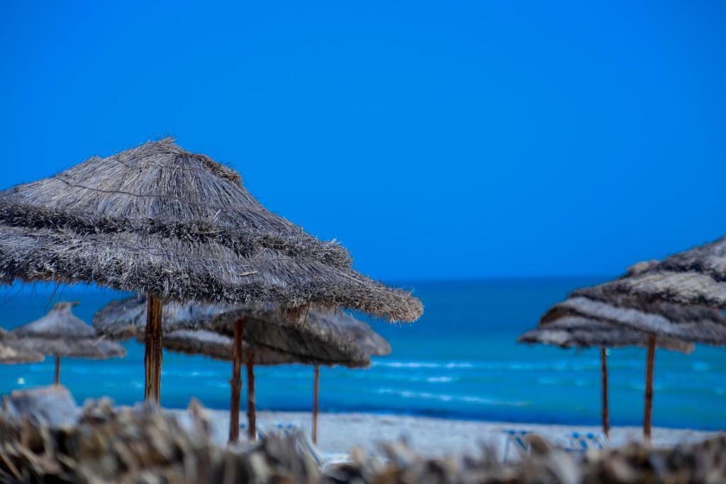 Отзывы про отдых в отеле, Al Jazira Beach & Spa