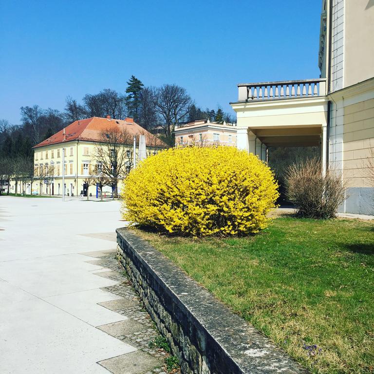 Ljubljanski Dom, Рогашка-Слатина, фотографии туров