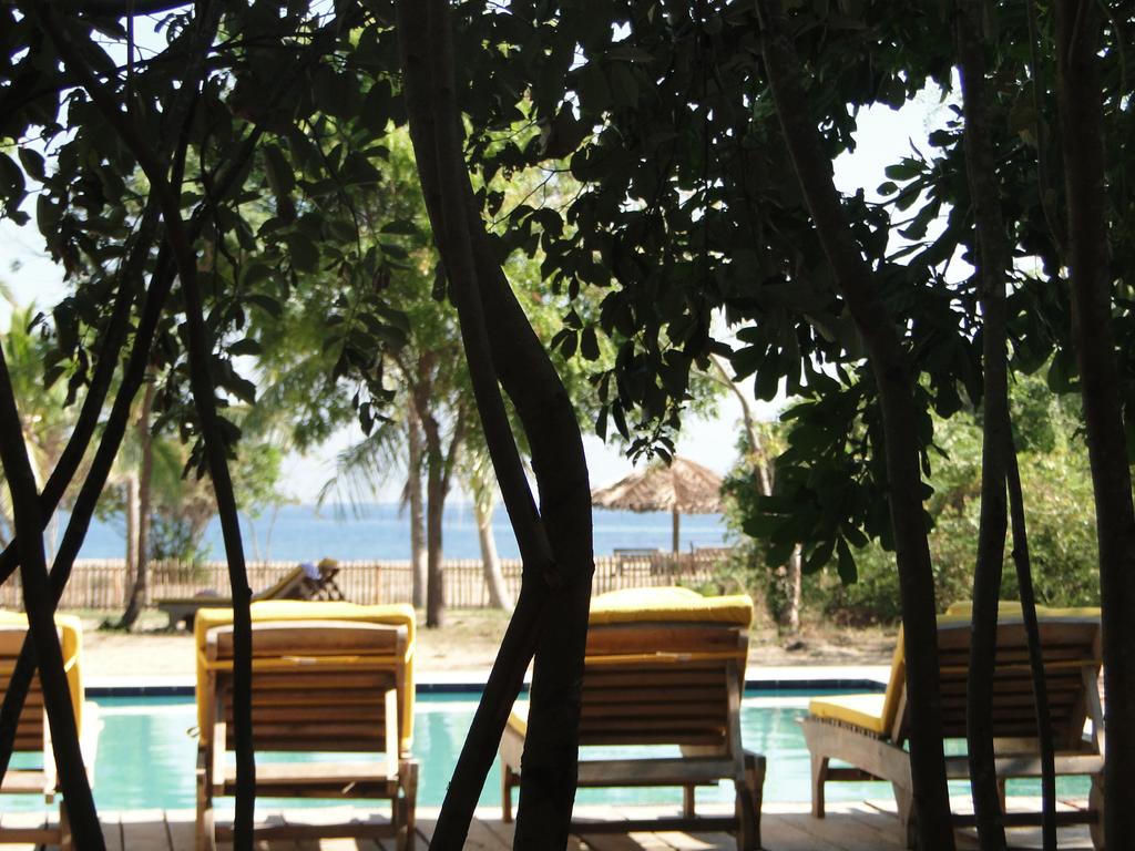 Giman Free Beach Resort Sri Lanka ceny