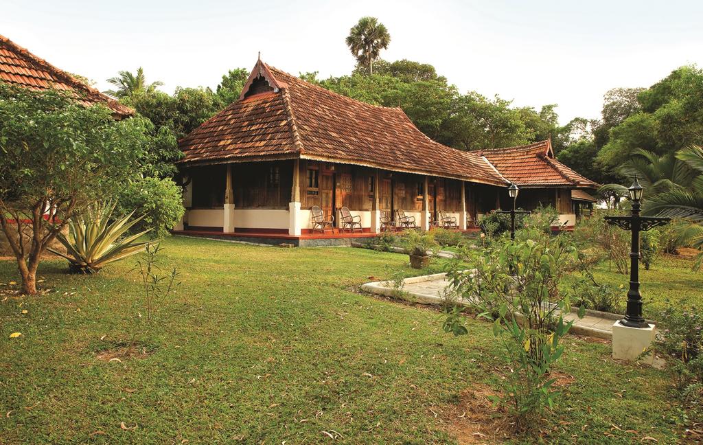 Kerala Isola Di Cocco