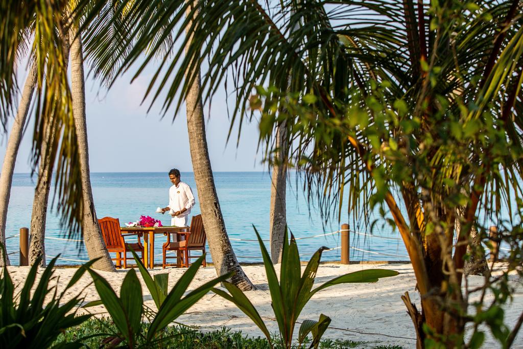 Palm Beach Resort & Spa Maldives photos of tourists