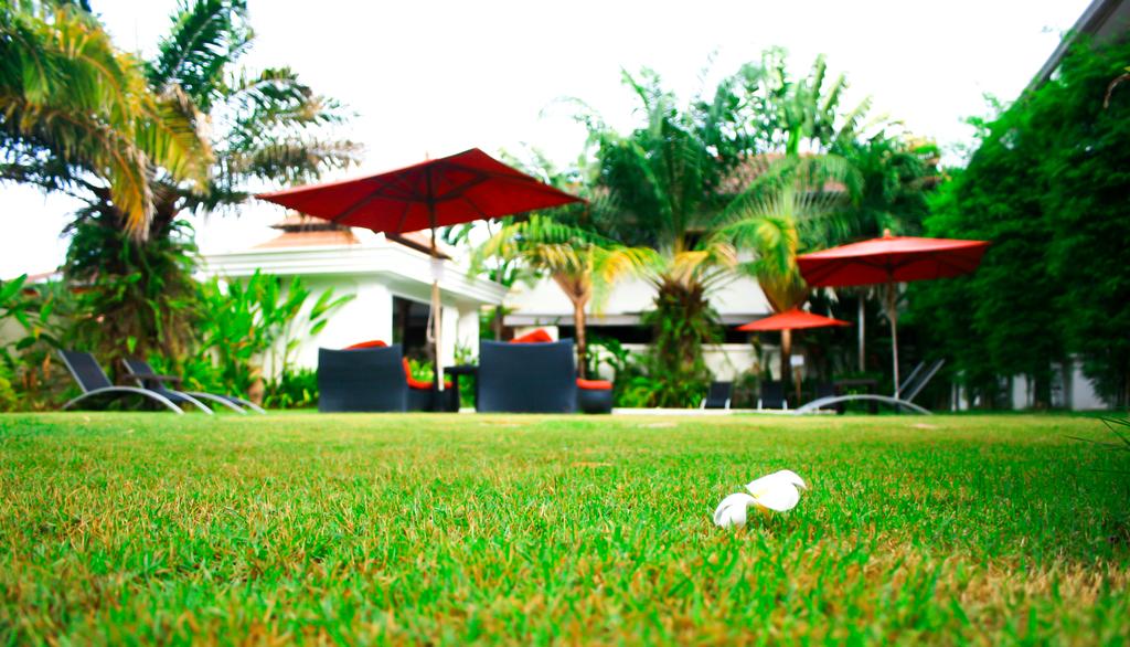 Odpoczynek w hotelu Palm Grove Hotel Pattaya Tajlandia