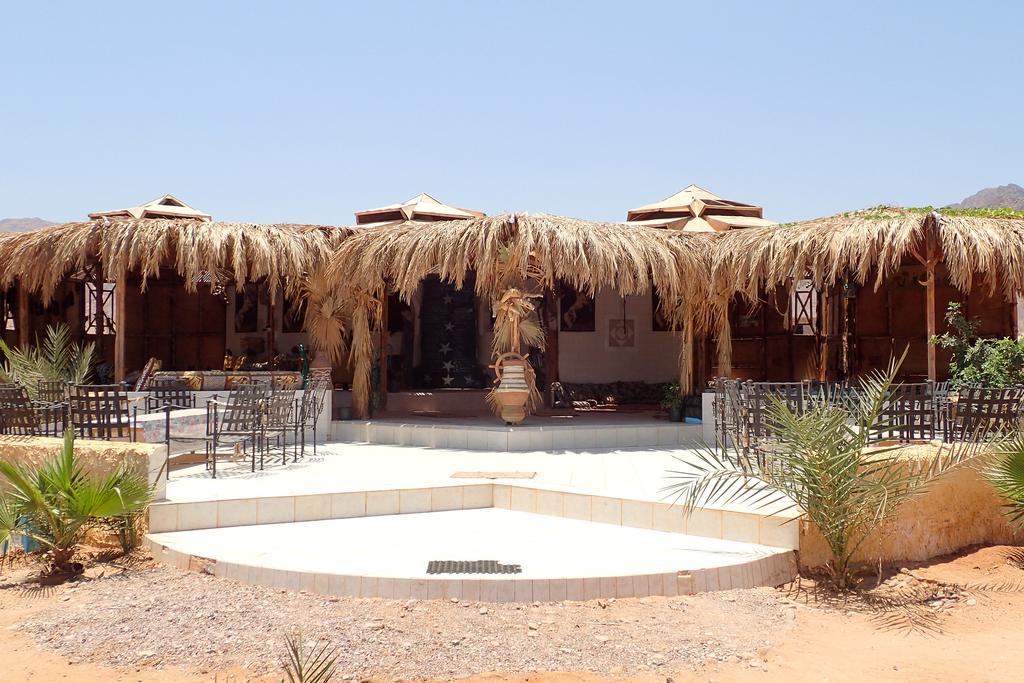 Tours to the hotel Bedouin Star Nuweiba Egypt