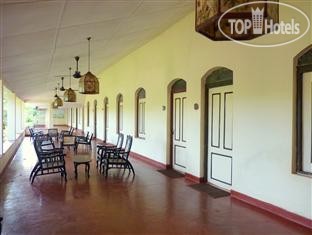 Туры в отель Sigiriya Rest House Сигирия Шри-Ланка