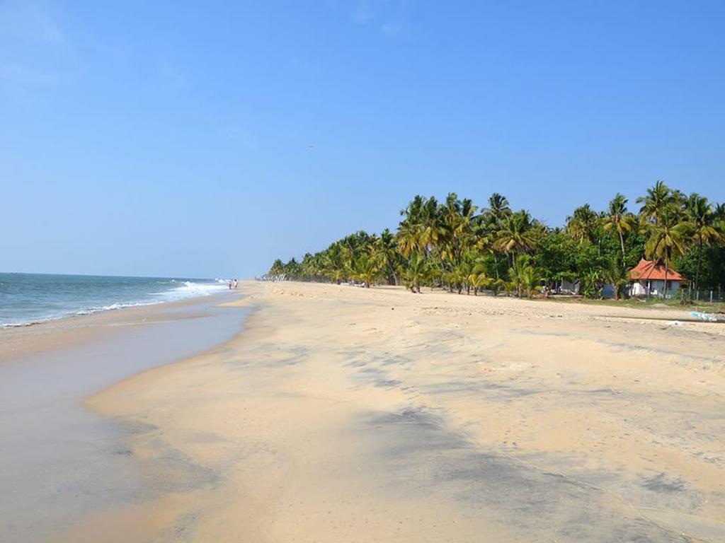 Abad Turtle Beach, Керала