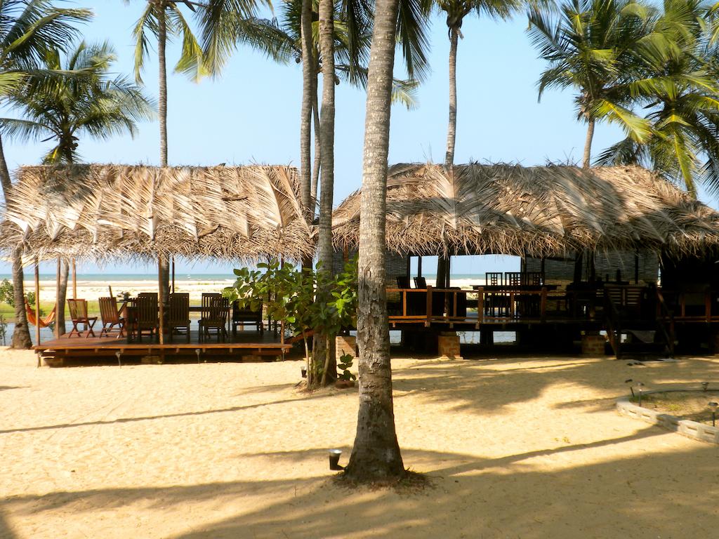 Diyamba Beach Resort, Калпітія, Шрі-Ланка, фотографії турів