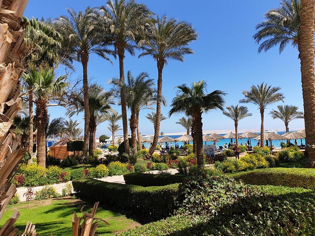 Odpoczynek w hotelu Zya Regina Resort and Aquapark Hurghada Egipt