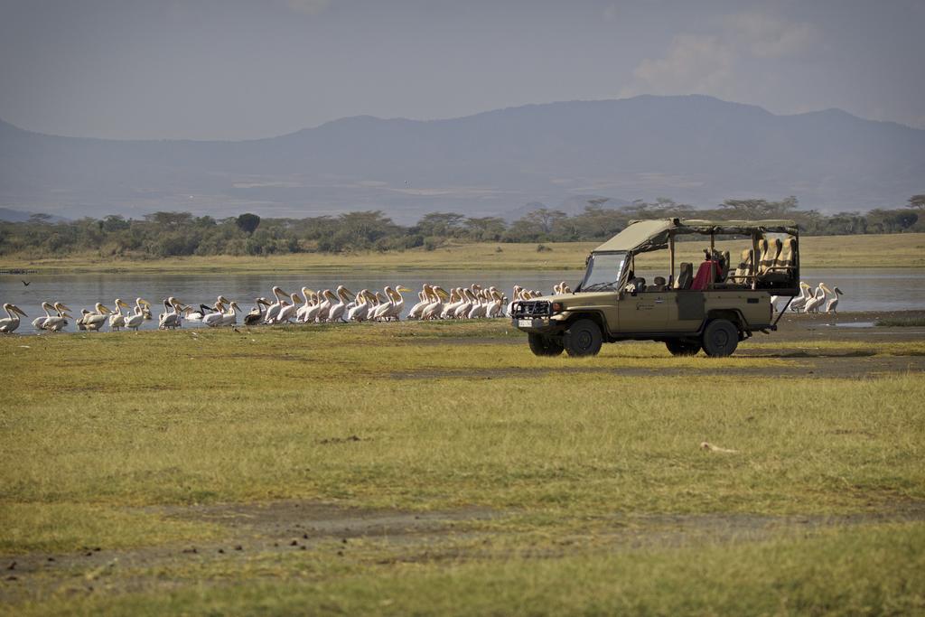 Горящие туры в отель Lake Naivasha Sopa Lodge Hotel оз. Найваша