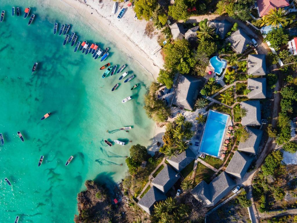 Відгуки про готелі Bella Vista Resort Zanzibar