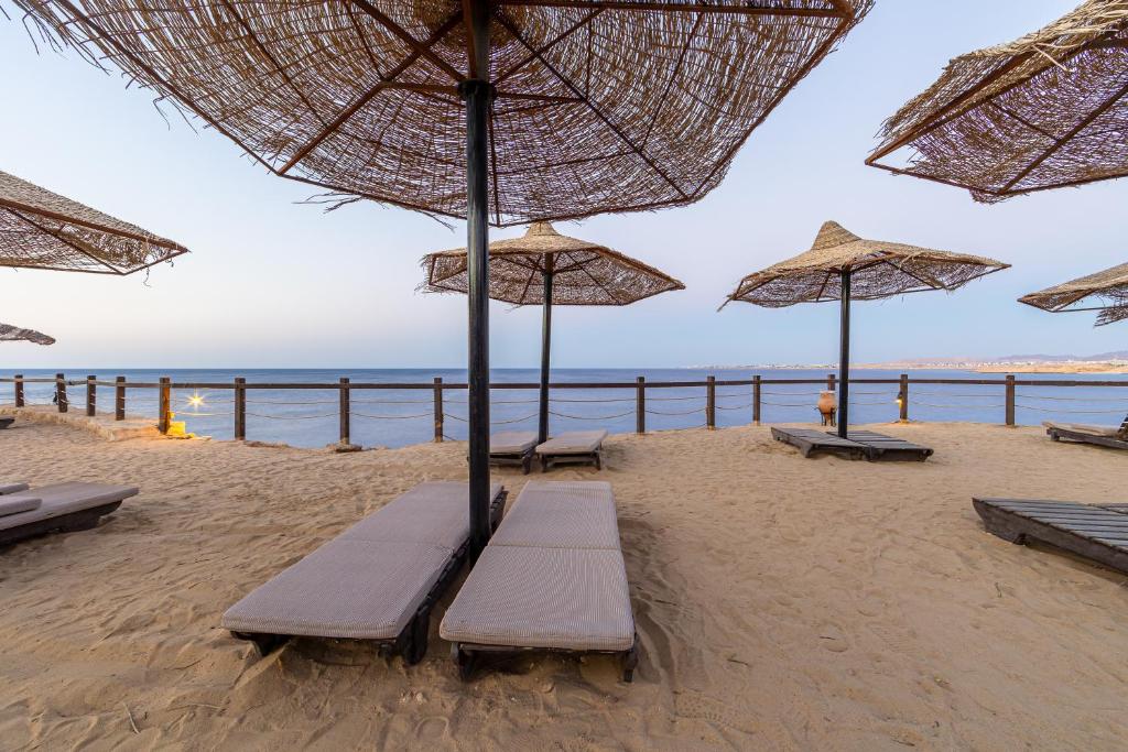 Opinie gości hotelowych Sharm Plaza (ex. Crowne Plaza Resort)