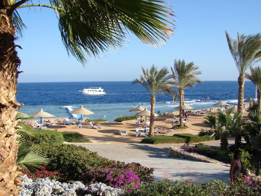 Відгуки туристів Queen Sharm Resort (ex. Vera Club Queen Sharm Beach)