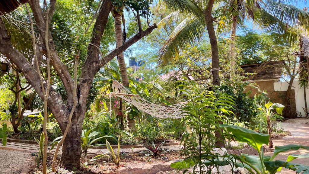 Танзания Atii Garden Bungalows